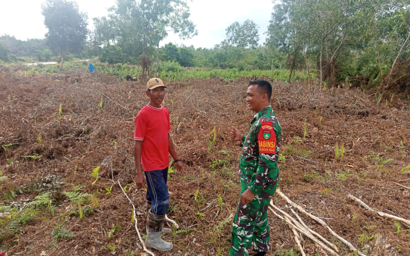 Babinsa Koramil 01 Dumai Patroli Karhutla Sekaligus Dukung Ketahanan Pangan Warga