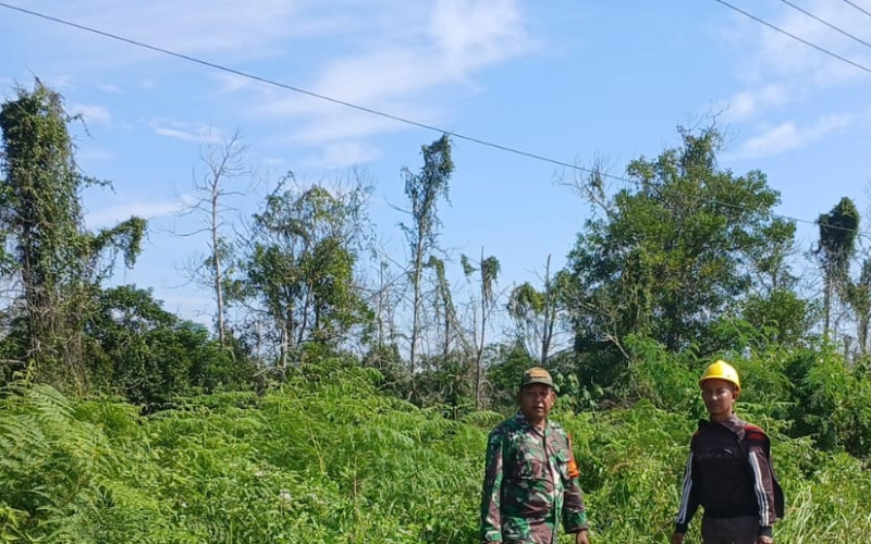 Cuaca Panas, Babinsa Pelintung Intensifkan Patroli Antisipasi Karhutla di Medang Kampai