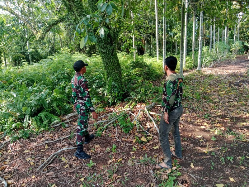 Patroli Karhutla Koramil 06/Merbau Gencar Digelar, Babinsa Edukasi Warga Cegah Karhutla