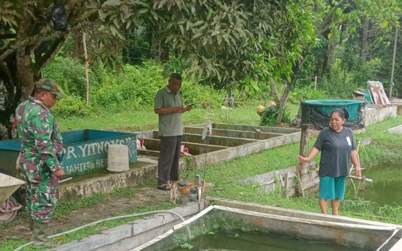 Babinsa Bagan Besar Dampingi Warga Budidaya Ikan Air Tawar