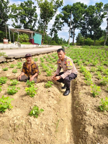 Bhabinkamtibmas dan Petani Berkolaborasi Tingkatkan Produktivitas Demi Ketahanan Pangan Nasional