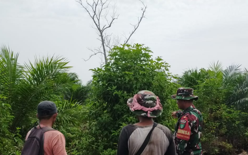 Antisipasi Kebakaran Lahan, Babinsa Sungai Sembilan Intensifkan Patroli