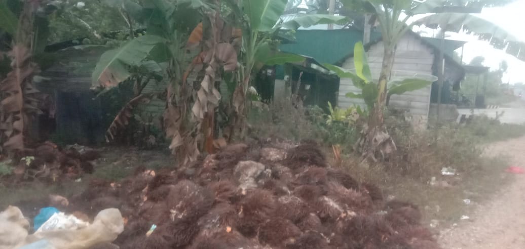 Buang Tangkos Sawit Sembarangan, Warga Sekitar Melapor Ke RT Dan Bhabinkamtibmas