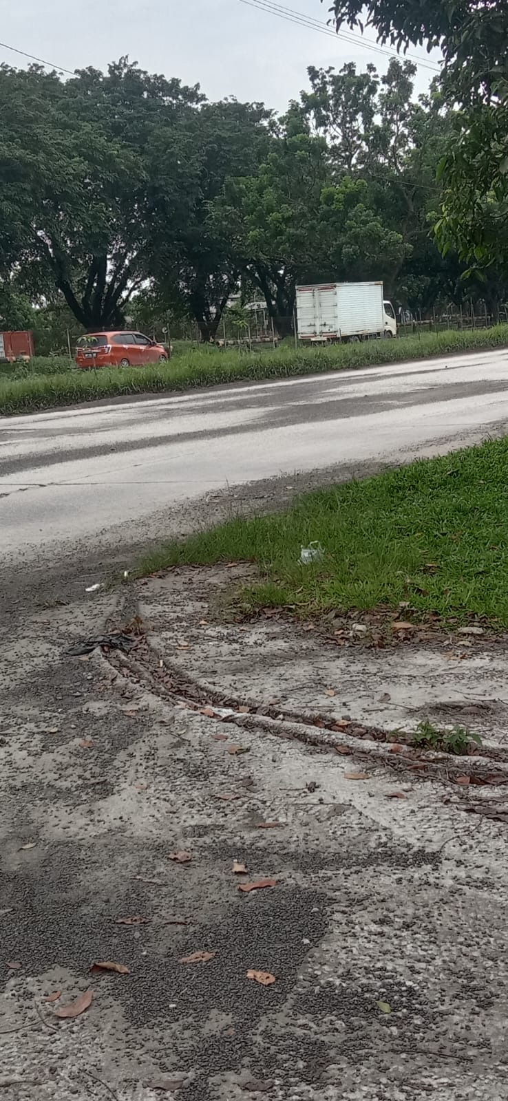 Soroti Serakan Cangkang Di Jalan-Jalan, Ketegasan Walikota Ditunggu