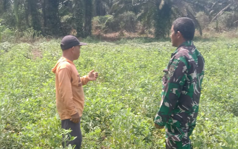 Koramil 03/Sungai Sembilan Gencarkan Patroli Karhutla di Lahan Gambut Basilam Baru