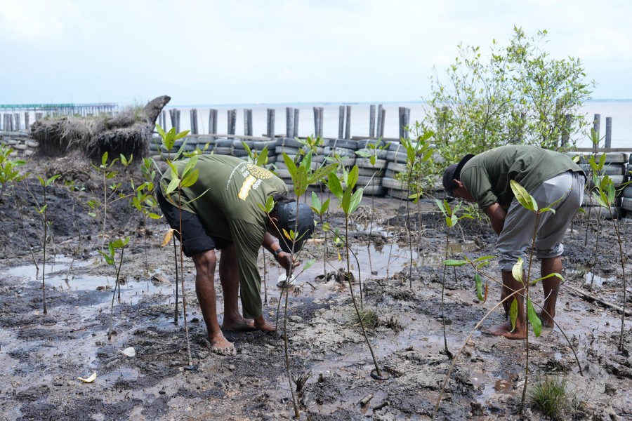 Inovasi Kilang Pertamina Dumai Mengubah Keputusasaan Menjadi Secercah Harapan