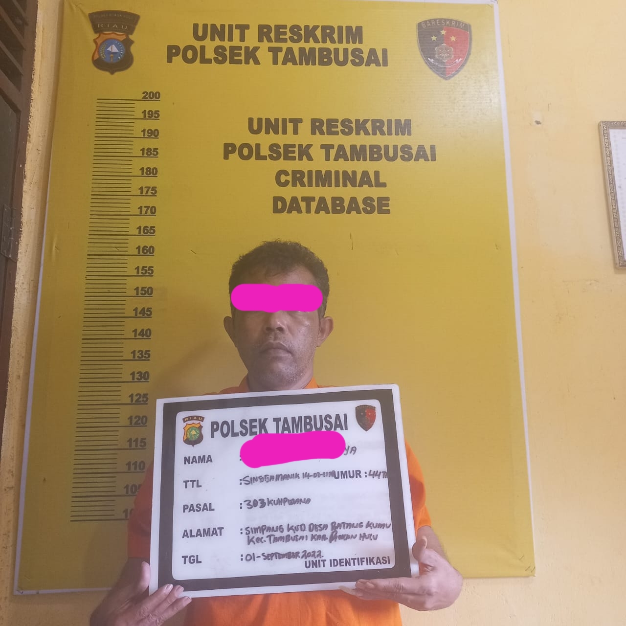 Dipimpin Iptu Efendi Lupino, Personil Polsek Tambusai Tangkap Tersangka Judi Ikan-ikan