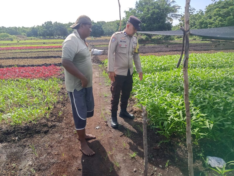 Bhabinkamtibmas Bersama Petani Perkuat Ketahanan Pangan Lewat Pekarangan Bergizi