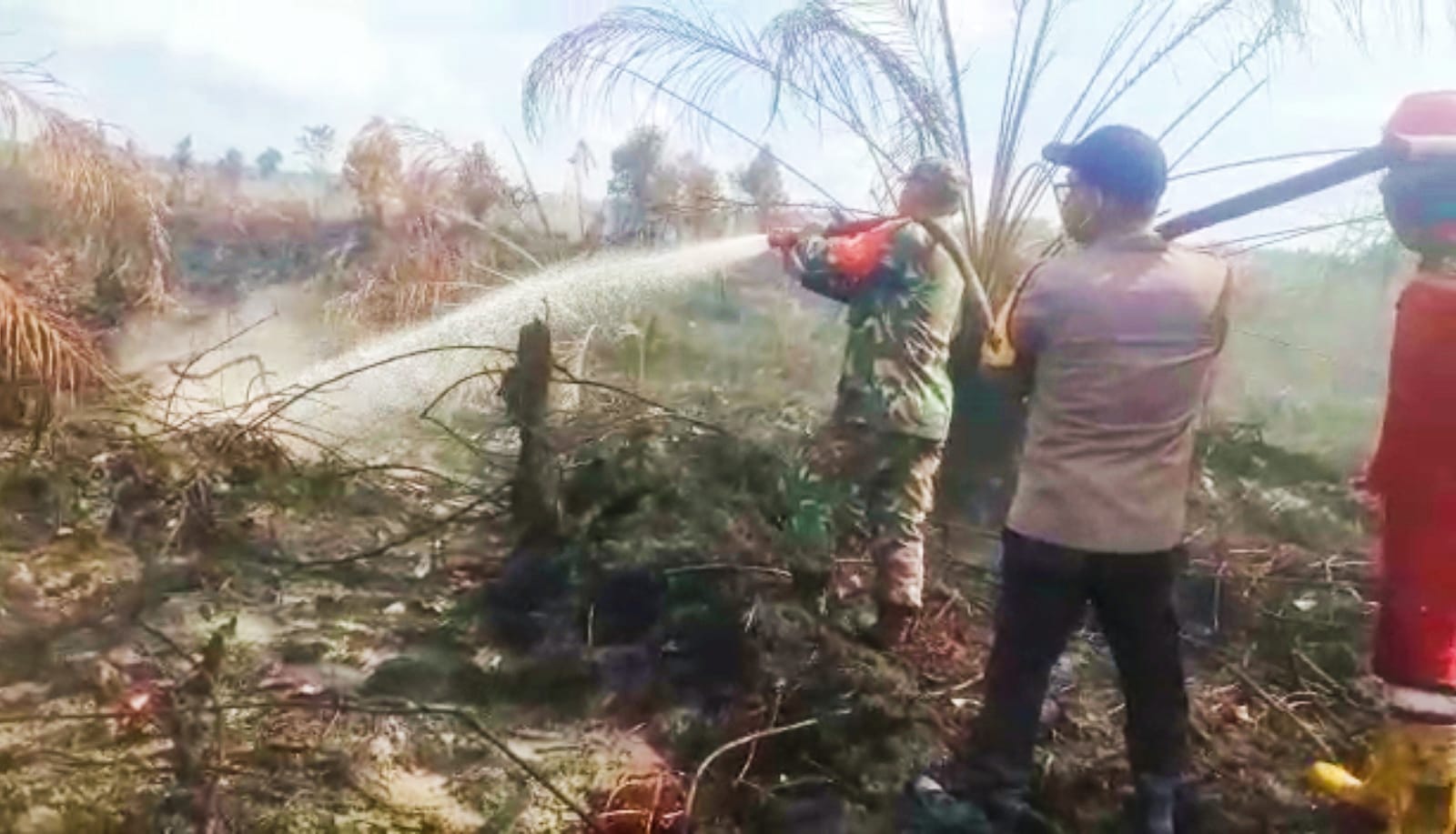 Kebakaran Hutan dan Lahan Kian Meluas, Petugas Gabungan Lakukan Pemadaman