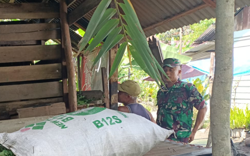 Cegah Penyakit Mulut dan Kuku, Babinsa Turun Langsung Dampingi Peternak di Sungai Sembilan