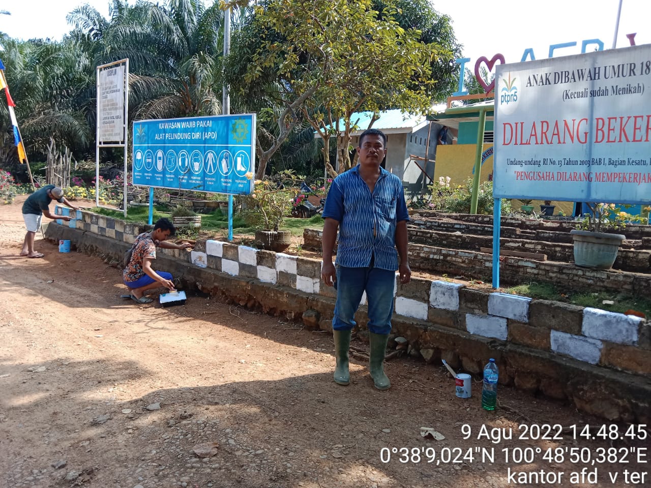 Jelang HUT RI 77 Afdeling V Kebun Terantam Adakan Giat Kebersihan Kantor Dan Kebersihan Pondok