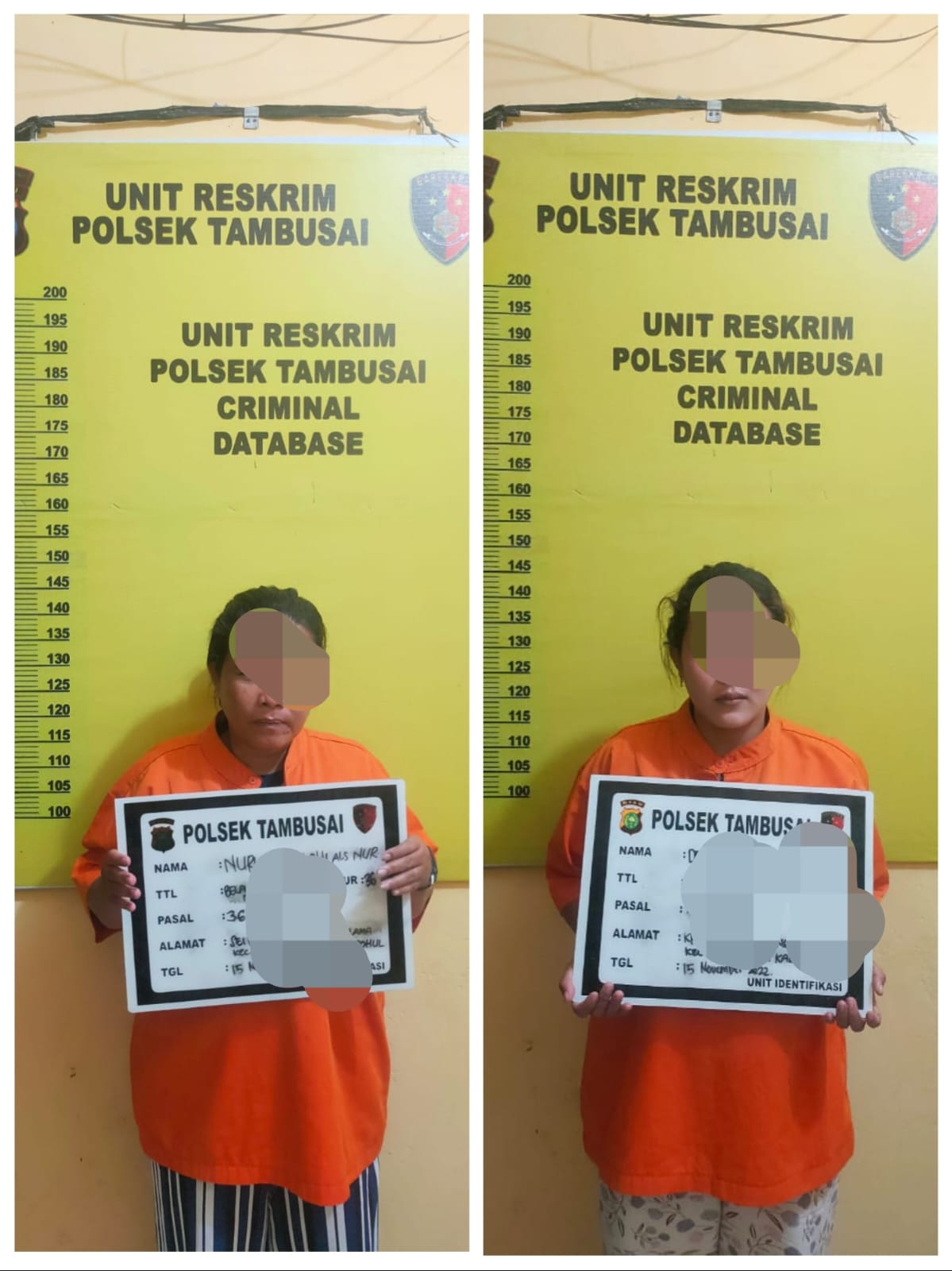 Tersangka Pencuri Hand Phone, Dua Emak-Emak Ditangkap Personil Polsek Tambusai