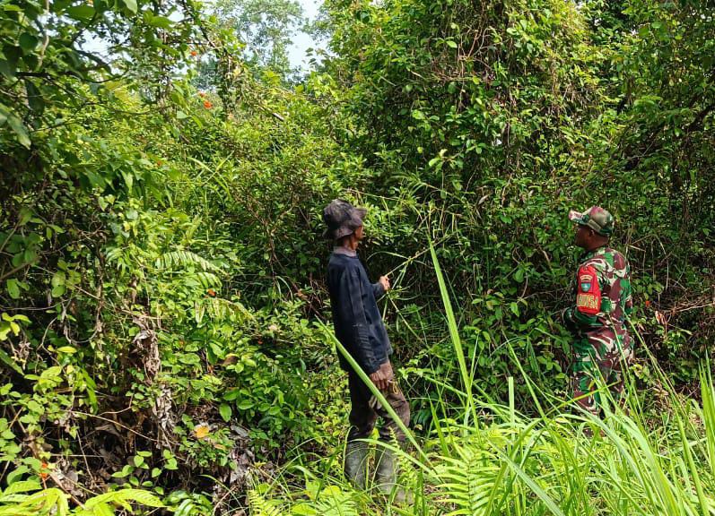 Cegah Karhutla Meluas, Babinsa Koramil 06/Merbau Pantau Lahan Rawan di Meranti Bunting