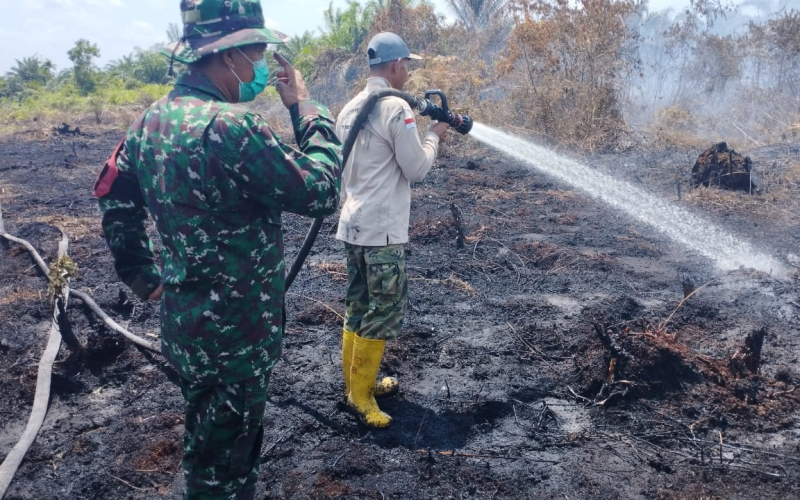 Babinsa Lubuk Gaung Bersama Tim Gabungan Jinakkan Karhutla di Lahan Gambut
