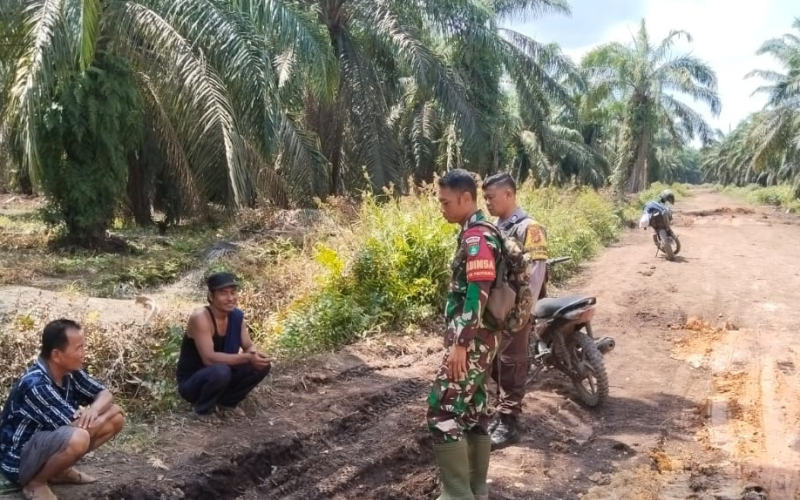 Cegah Kebakaran Lahan Gambut, Babinsa Koramil 03 Sungai Sembilan Lakukan Patroli Rutin