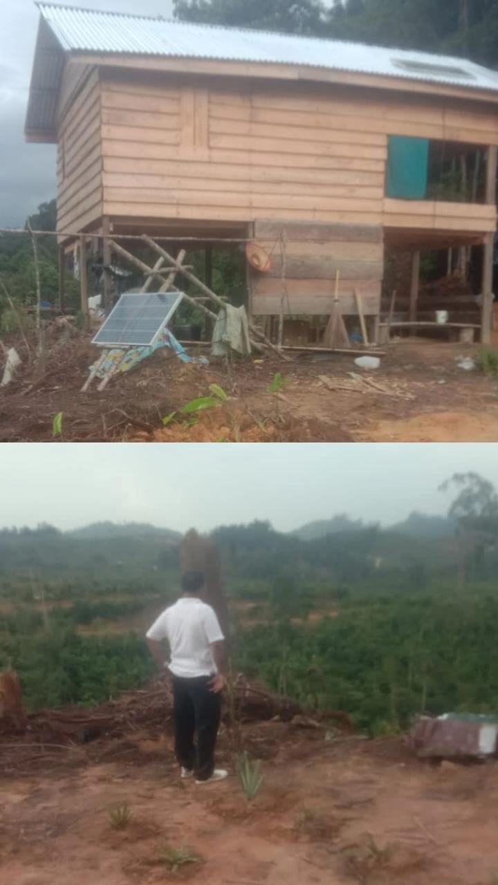 Hutan Desa Tanjung Medan Rokan IV Koto Digarap dan Akan Ditanam Sawit