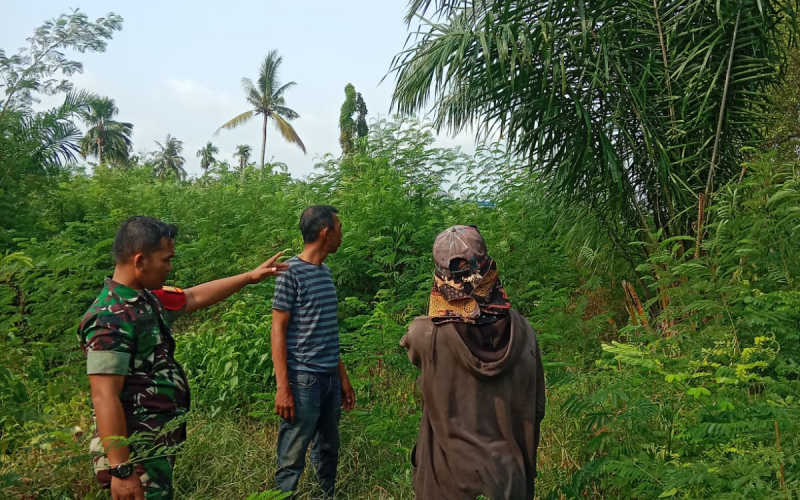 Babinsa Buluh Kasap Patroli Karhutla dan Sosialisasi Banjir, Sekaligus Dampingi Penanaman Cabai Warga