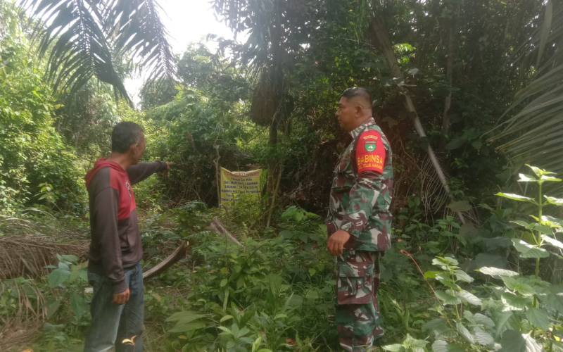 Antisipasi Kebakaran Lahan, Babinsa Teluk Makmur Turun Langsung ke Wilayah Rawan