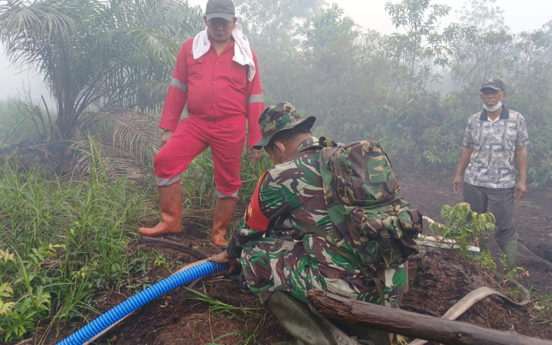 Kodim 0320 Dumai Bersama Tim Gabungan Kendalikan Karhutla di Lahan Gambut Pelintung