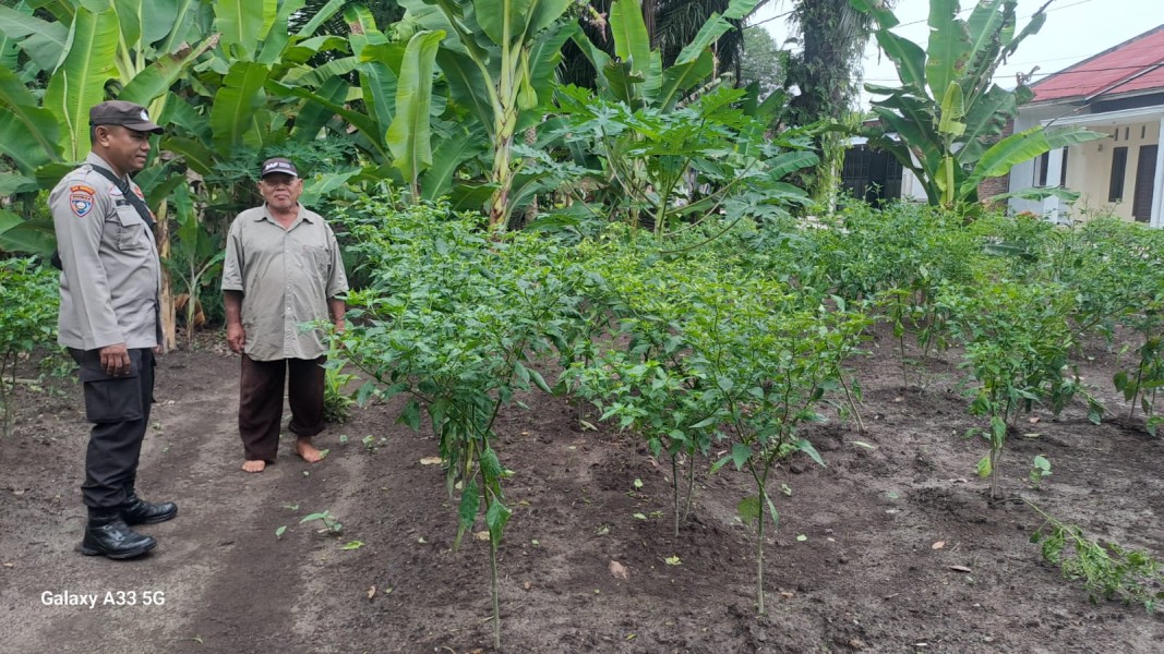 Komitmen Ketahanan Pangan, Polsek Dumai Barat Perkuat Pendampingan Petani Hingga Masa Panen